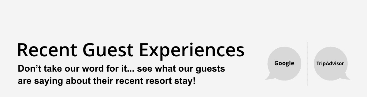 Guest Experiences